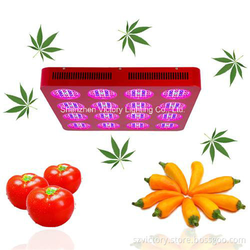 1000W LED Garden Light/LED Grow Light for Greenhouse